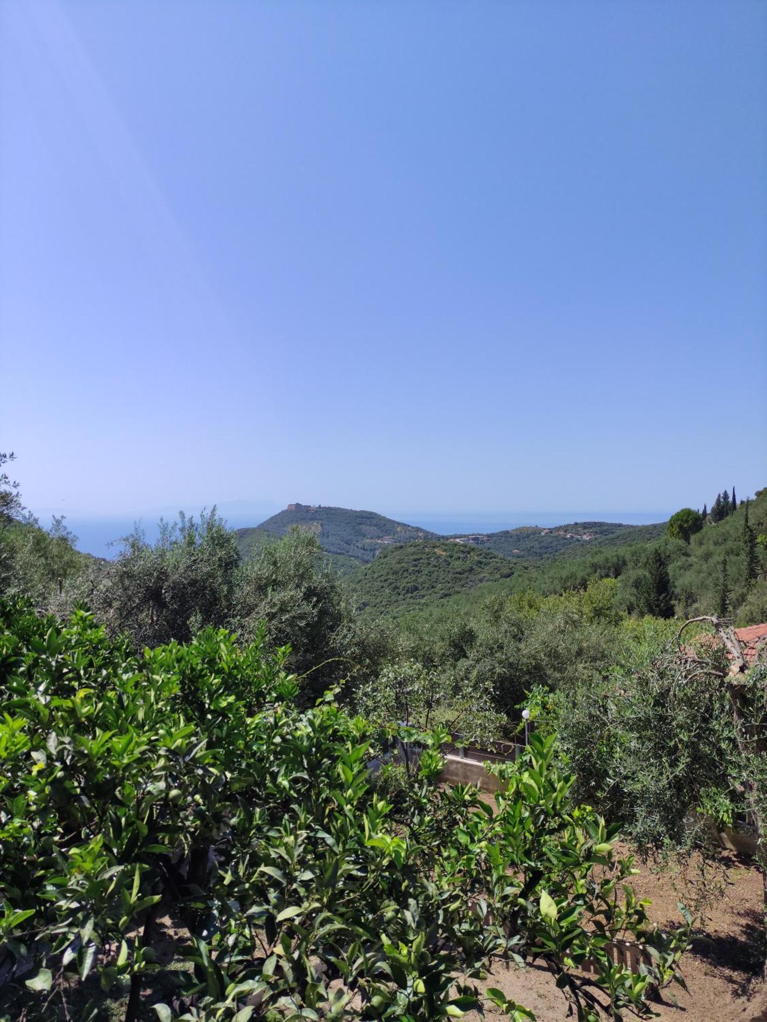 Sogno 1 Holiday home *